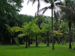 -中国科学院西双版纳热带植物园