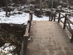 -白水寺森林公园
