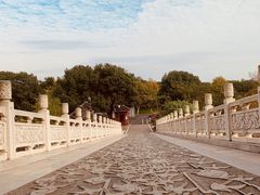 -东湖落雁景区
