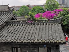 -星巴克臻选(成都宽窄巷子店)