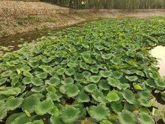 -北京天湖会议中心