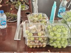 -马陆小张葡萄园农家乐