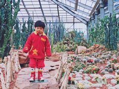 -南通洲际绿博园