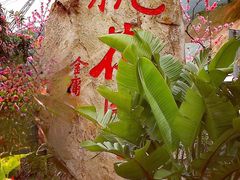 -桃花岛风景旅游区