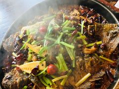 -老板恋上鱼(恒隆广场店)