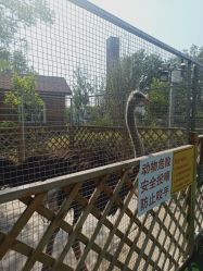 -萌宠亲子动物乐园(槐房万达店)