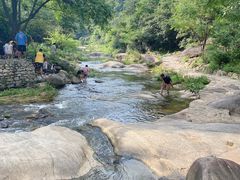 -武汉姚家山旅游景区