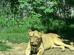 -北京野生动物园