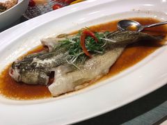 清蒸笋壳鱼-宝燕壹号(徐汇店)