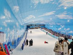 -世界之窗阿尔卑斯冰雪世界