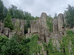-长虫山生态公园风景林