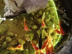 -崔英子朝韩民俗风味烤肉烤串城(大东店)