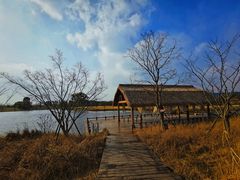 -良渚古城遗址公园