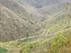 -五女峰国家森林公园