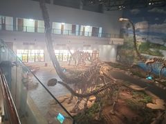 -自贡恐龙博物馆