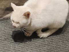 -自在弥林花园餐厅(云栖店)