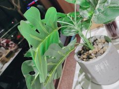 -渔码头食府·20年蓬莱老字号(登州路店)
