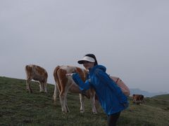 -灵山