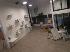 -有猫主题·治愈系猫咖(曾厝垵店)