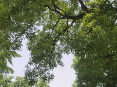 -北京石刻艺术博物馆(五塔寺)