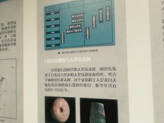 -北京周口店北京人遗址博物馆