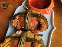 -水岸居湖景农家乐·阳澄湖大闸蟹