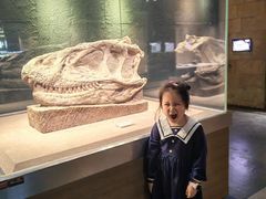 -自贡恐龙博物馆