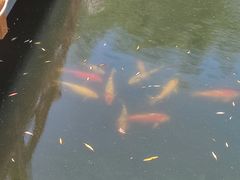 -瑞博尔花园酒店(太周创新产业园店)