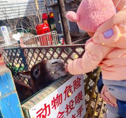 -萌宠亲子动物乐园(槐房万达店)