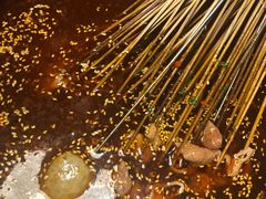 -搓火大都会(广安门总店)