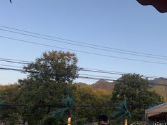 -都江堰石锅鱼