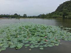 -南宁花花大世界景区