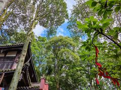 -窦圌山风景区