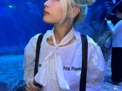 -华夏文旅西安度假区