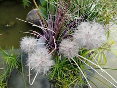 -青瓦房古村落