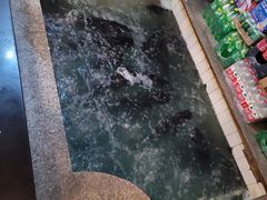 -旭龙鱼头王(航华店)