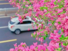 -天府广场