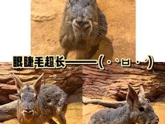 -正佳雨林生态植物园