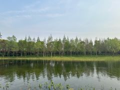 -养云安缦·廊