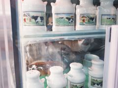 -义顺牛奶公司(新马路老店)