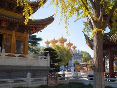 -上海东林寺(金山区)