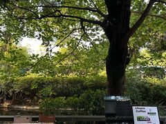 -乌托邦咖啡(武侯祠店)
