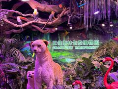 -正佳雨林生态植物园