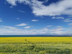 -青海湖国家重点风景名胜区