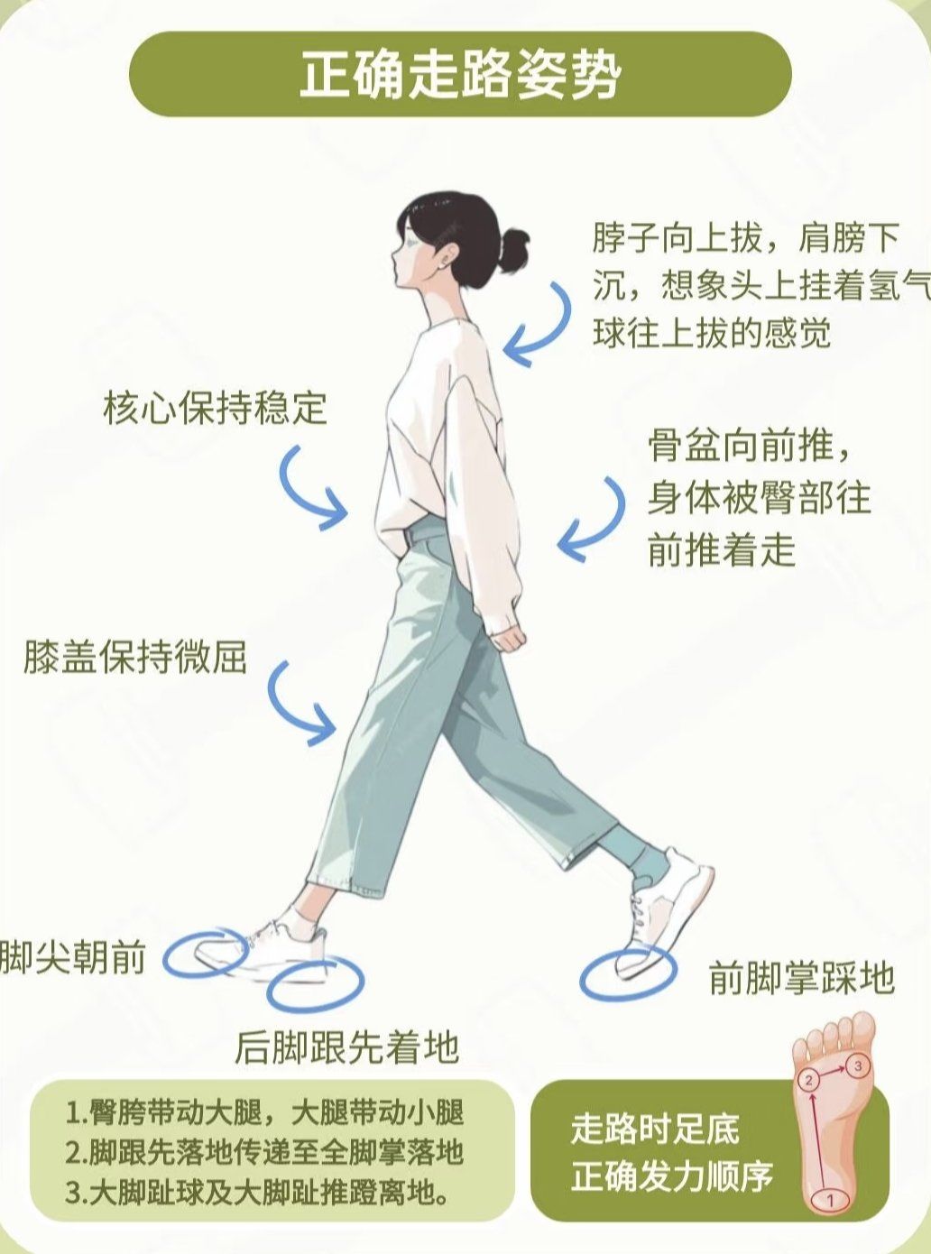 正确的步态和走路姿势❗️让你越走体态越好