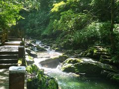 -本溪汤沟绿石谷森林公园