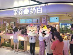 -茉莉奶白(广州动漫星城店)