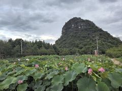 -夏屿湖畔.落日湖景餐厅(普者黑景区店)