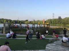 -昆山城市生态森林公园