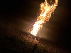 -前小桔亲子创意农场·草莓采摘·露营烧烤